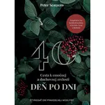 40: Cesta k emočnej a duchovnej zrelosti deň po dni: Štyridsať dní pravidelnej modlitby - Peter Scazzero 2020 [E-kniha]