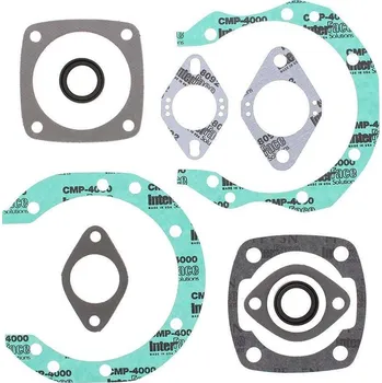 Těsnění motoru Winderosa sada těsnění motoru (s olejovým těsněním) Sachs 290 SA280/SA290/SA290C FC/1