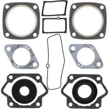 Těsnění motoru Winderosa sada těsnění motoru (s olejovým těsněním) Ski-Doo TNT 18" Track / 440S 71