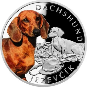 2021 - Stříbrná mince Jezevčík - Psí plemena 1 NZD