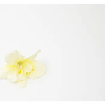 umělá květina Orchidej 001 smetanová