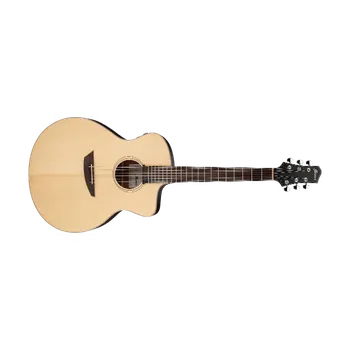 Elektroakustická kytara Ibanez PA300E-NSL