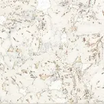 Korek Jelínek Kondor Ivory O00002