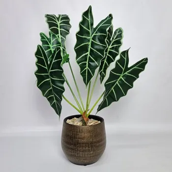 umělá květina Umělá Alocasia zelená 56cm - Do interiéru
