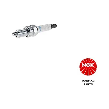 Autoelektrika Zapalovací svíčka NGK 4179