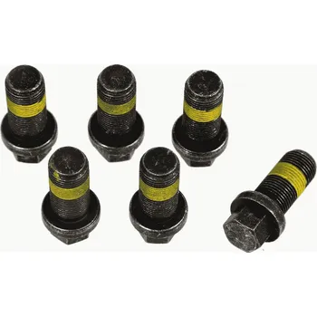 Setrvačník motoru Sada šroubů, setrvačník SACHS 1874 000 069