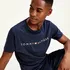 Pánské tričko Tommy Hilfiger UM0UM01434-DW5