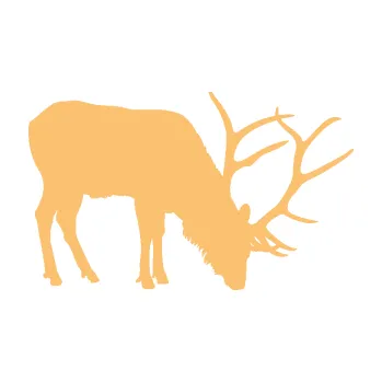 Samolepící dekorace Jelen 008 pravá (08 - béžová) SAMOLEPKA NA AUTO, NÁLEPKA, FÓLIE, POLEP, TUNING, VLASTNÍ TEXT, TISK, AUTOSAMOLEPKY.cz, POLEPY, OBRÁZEK, LOGO, 3D STICKERS