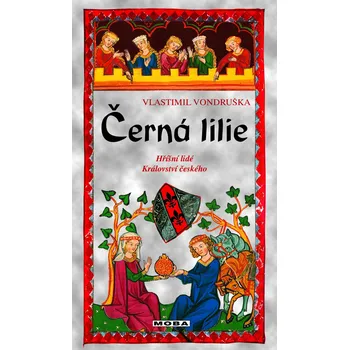 Černá lilie - Vlastimil Vondruška…