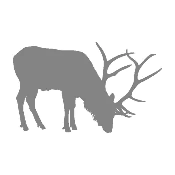 Samolepící dekorace SAMOLEPKA Jelen 008 pravá (17 - šedá) NA AUTO, NÁLEPKA, FÓLIE, POLEP, TUNING, VLASTNÍ TEXT, TISK, AUTOSAMOLEPKY.cz, POLEPY, OBRÁZEK, LOGO, SAMOLEPKY