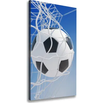 Obraz Vertikální Foto obraz na plátně Míč v bramce