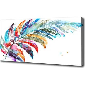 Obraz Foto obraz canvas Barevné pírko