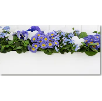 Obraz Foto-obrah sklo tvrzené Modré květiny