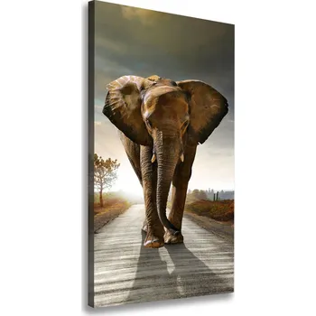 Obraz Vertikální Foto obraz na plátně Chodící slon