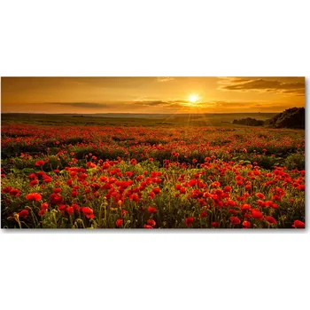 Obraz Fotoobraz na skle Pole máků