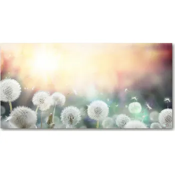 Obraz Foto obraz skleněný horizontální Pole pampelišek