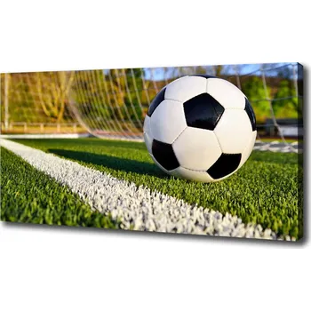 Obraz Moderní fotoobraz canvas na rámu Míč v bramce