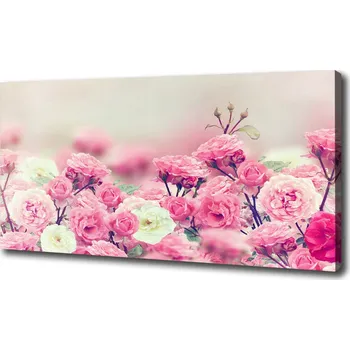 Obraz Moderní fotoobraz canvas na rámu Květy divoké růže