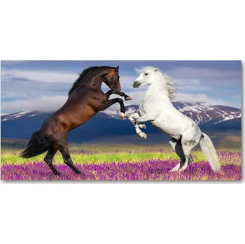 Obraz Foto obraz sklo tvrzené Koně hory