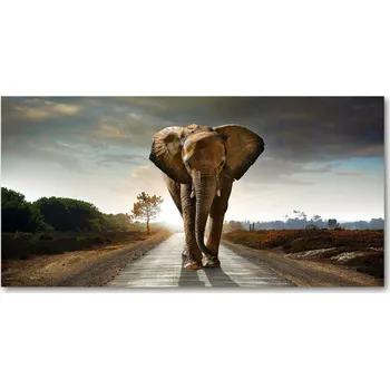 Obraz Foto obraz sklo tvrzené Slun na procházce