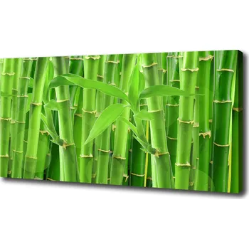 Obraz Foto obraz na plátně Bambusy