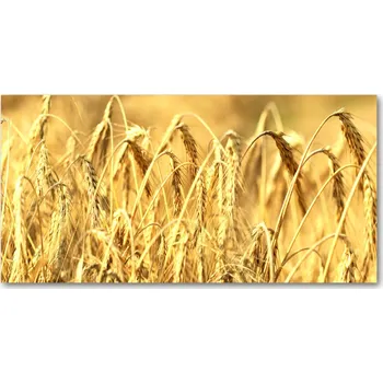 Obraz Foto obraz sklo tvrzené Zboží