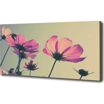 Obraz Foto obraz canvas Růžové květiny