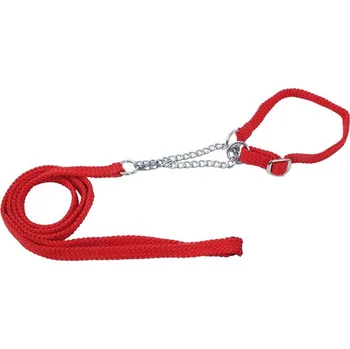 Vodítko pro psa Komplet DOG FANTASY Show červený 120x0,5 cm