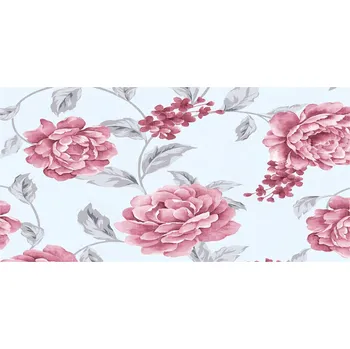 Obraz Foto obraz skleněný horizontální Pivoňky