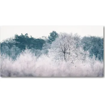 Obraz Foto obraz sklo tvrzené Stromy zimou