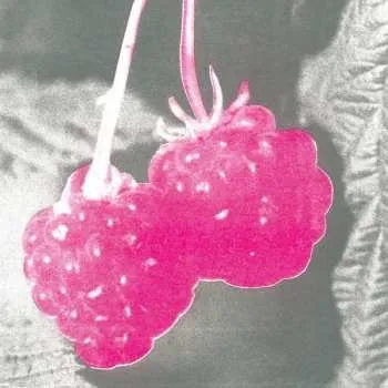 Zahraniční hudba CD F.S. Blumm: Welcome LTD 2017