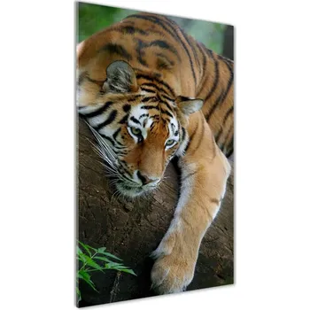 Obraz Vertikální Fotoobraz na skle Tygr na stromě