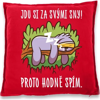 Dekorativní polštářek Vtipný polštář Jdu si za svými sny!, Barva Červená, Velikost 40×40 cm, Canvas Bavlněný polštář Bezvatriko.cz 1038 - DTF/DTG