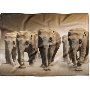 Dětská deka Deka Sloni v poušti 150x120 cm (Rozměr : 200 x 140 cm, Podšití beránkem: NE)