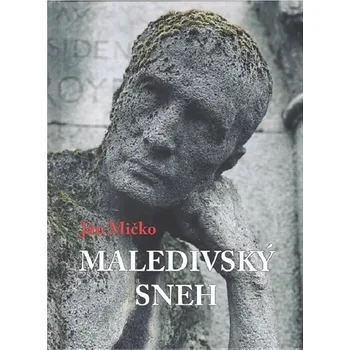 Maledivský sneh Kniha