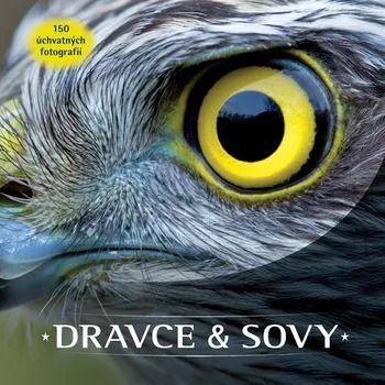 Bystrá hlava Dravce a sovy