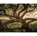 Zuty Starý strom (Dennis Frates) 40 x…
