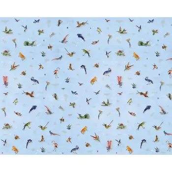 Fototapeta Vliesová obrazová tapeta Aves A, 350x280cm, Imaginum, Vavex