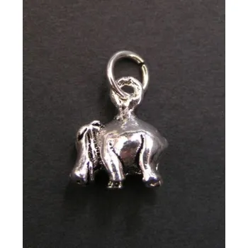 Přívěsek Hroch - stříbrný přívěsek