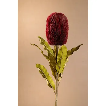 umělá květina Paramit DRY BANKSIA Aranžovací květina červená 65 cm