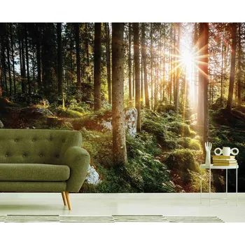 Fototapeta Tapeta Klid v lese (vliesová fototapeta)