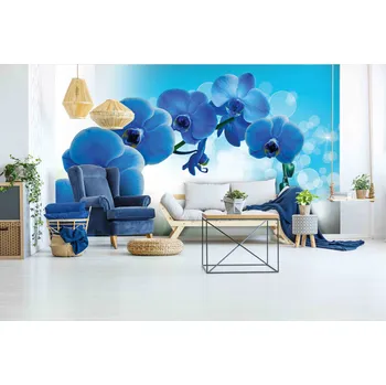 Fototapeta Tapeta Orchidej modrá (vliesová fototapeta)