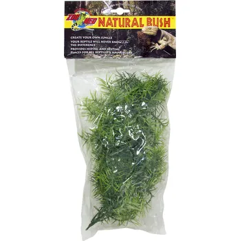 Teraristika Terarijní rostlina Zoomed Cashuarina S