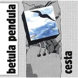 Cesta - Betula Pendula [CD]