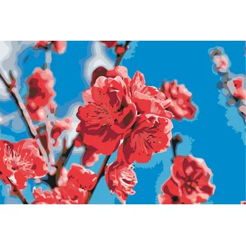 Malování podle čísel - Broskvový květ Velikost: 40x60cm, Rámování: Pouze srolované plátno