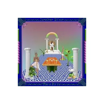 Zahraniční hudba Rare Birds / Vinyl / 2LP - Wilson Jonathan [2 LP]