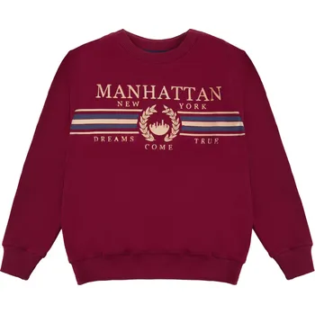 Chlapecká mikina Chlapecká mikina - Winkiki WTB 01775, bordo Barva: Bordo, Velikost: 146