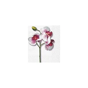 Papírový ubrousek Dezertní třívrstvé ubrousky Classic orchid white, 20 ks - 33*33 cm