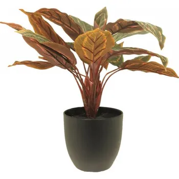 umělá květina Umělá kalatea Sunshine, v květináči, zeleno - fialová, výška 43 cm