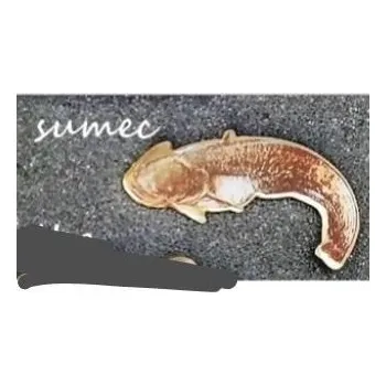 DK Fishing Rybářský odznak - Sumec POSLEDNÍ KUS